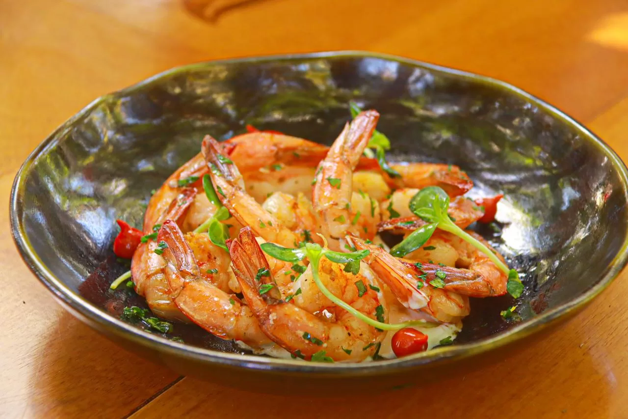 WhatsApp Image 2025-12-18 at 15.48.12